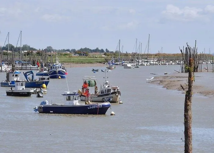 Maison Sud Vendee Casa de Férias LʼAiguillon-sur-Mer